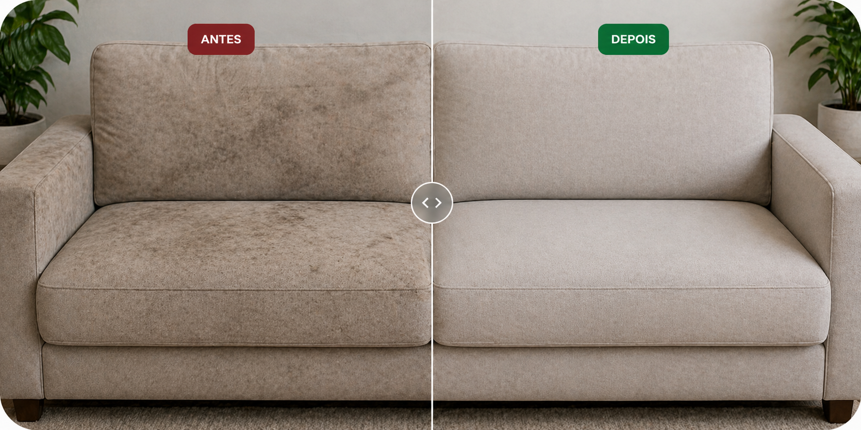 Resultado Sabiá Clean